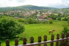 DSCN6509
