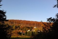 20181013_170609