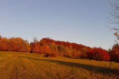 20181013_172959