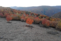 20181013_175344