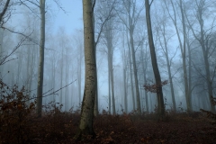 IMG_20201212_141644