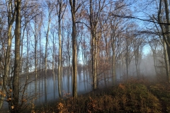 IMG_20201212_142928