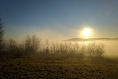 IMG_20201212_145214