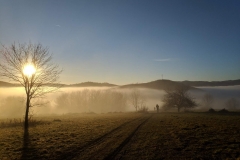 IMG_20201212_145512