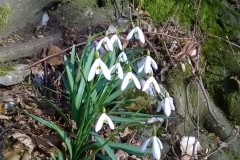 WP_20150114_05_34_35_Pro